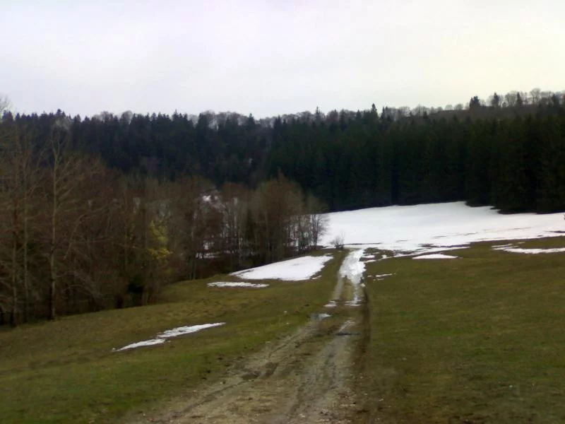 La Cluse-et-Mijoux - Grand Taureau