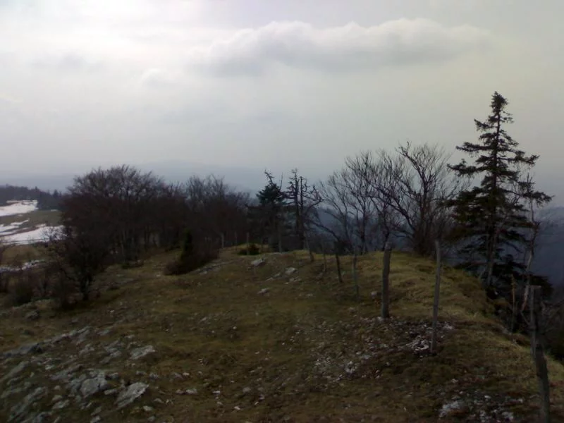 La Cluse-et-Mijoux - Grand Taureau