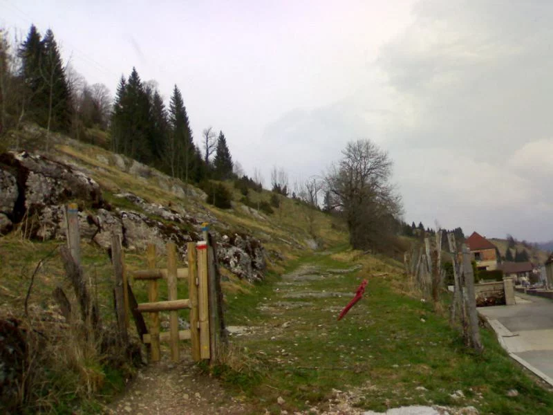 La Cluse-et-Mijoux - Grand Taureau